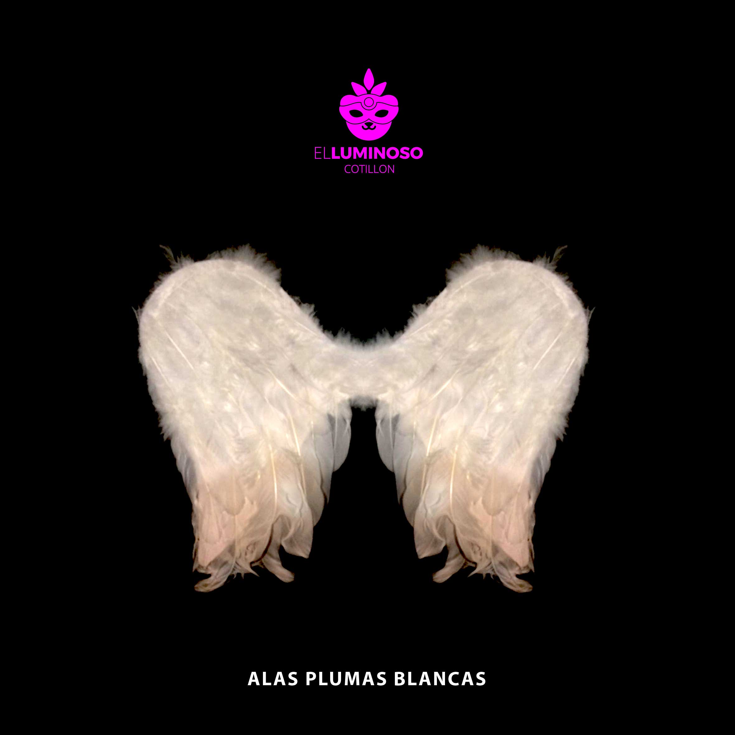 ALAS PLUMAS BLANCAS GRANDES 40X55CM