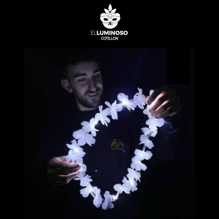 COLLAR HAW FLORES LED BLANCAS X10