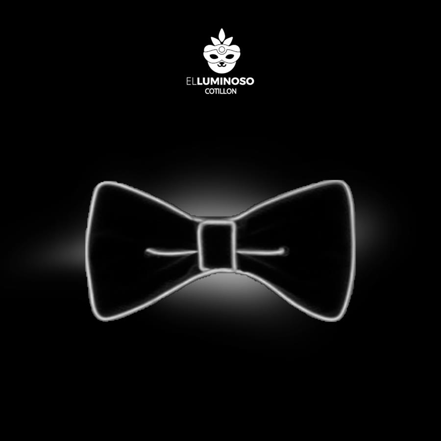 MOÑO LED CON CONTROL REMOTO BLANCO