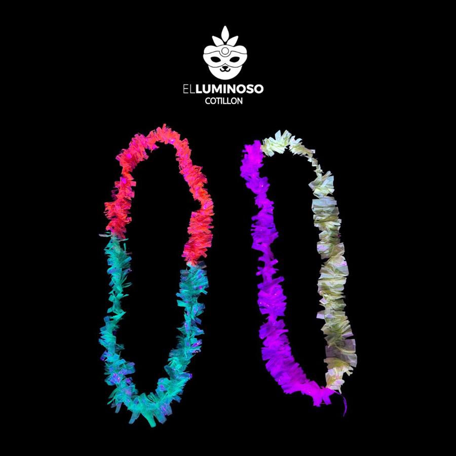 COLLAR NYLON FLUO X10